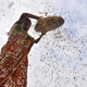 An Indian farmer dries harvested rice from a paddy field in Assam.